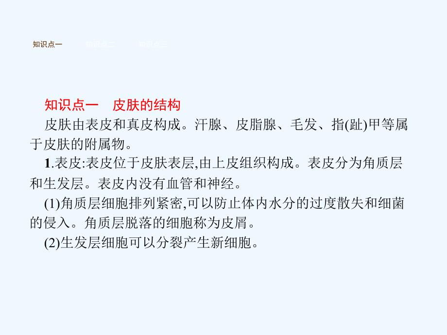 2017-2018七年级生物下册 3.4.2汗液的形成和排出 （新）济南_第2页