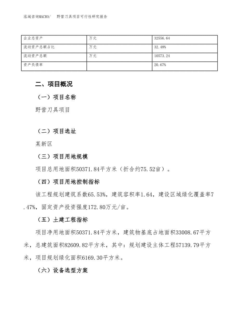 野营刀具项目可行性研究报告（总投资16000万元）（76亩）_第5页