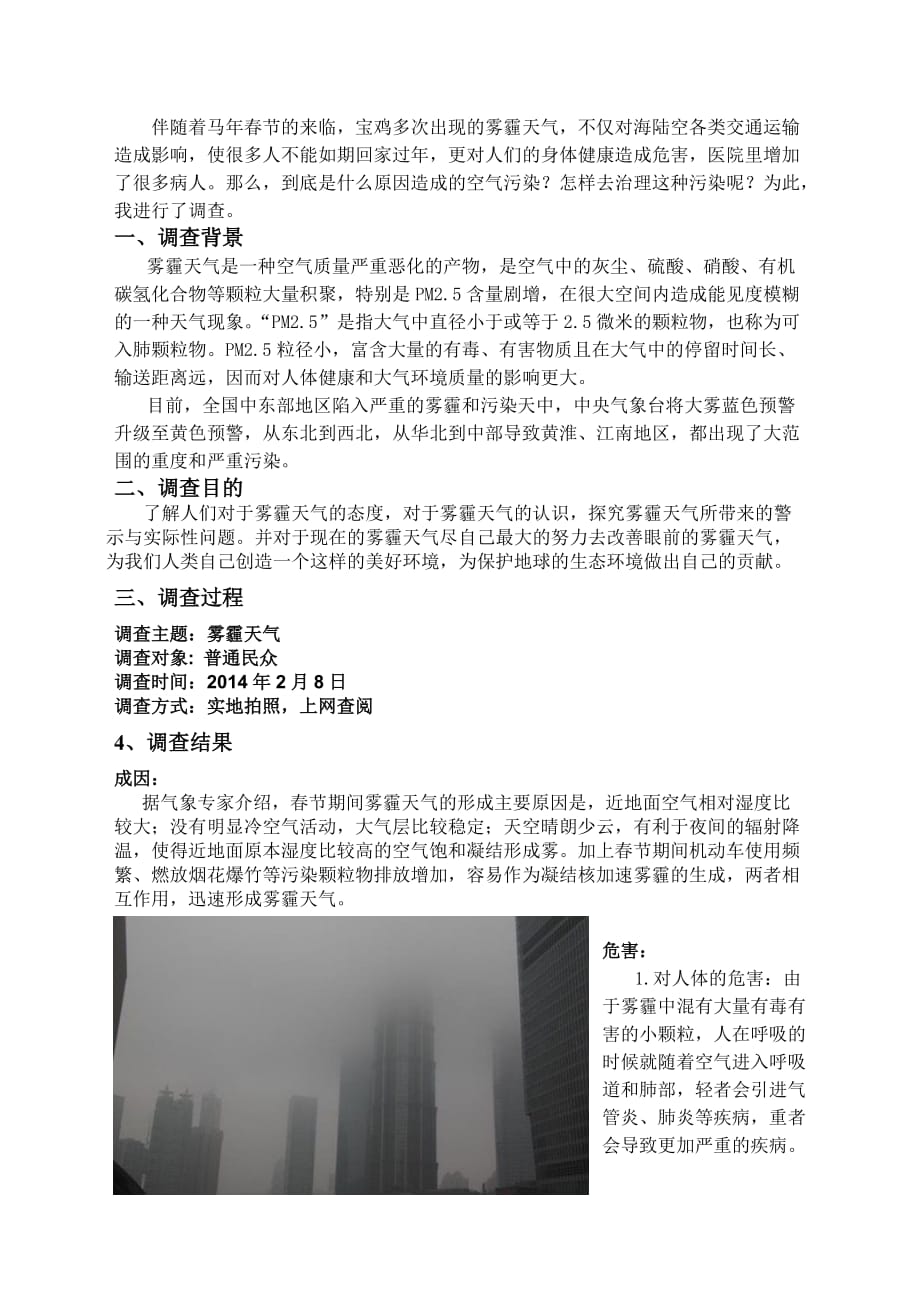 政治：关于雾霾天气的调查报告(同名14376)_第2页