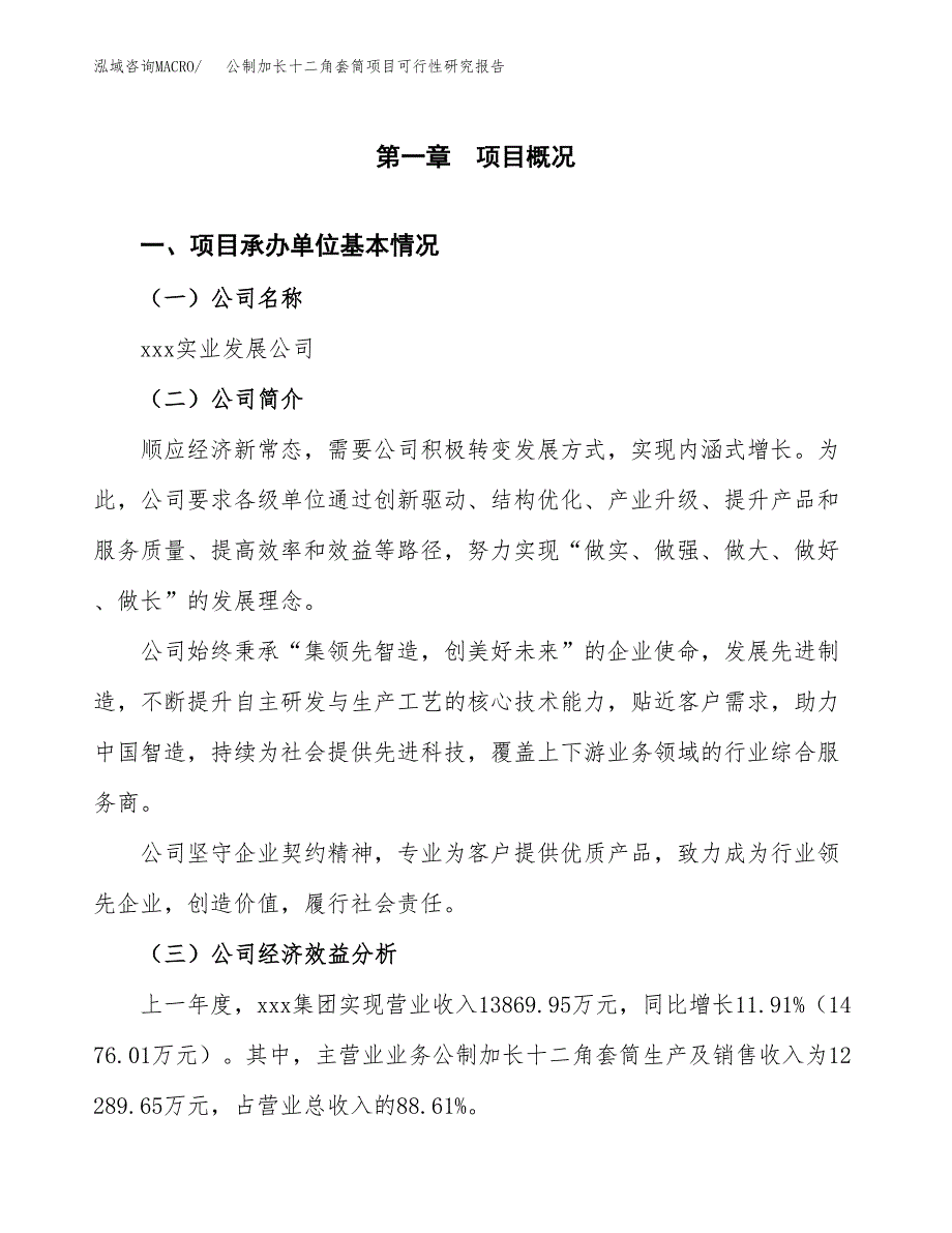 公制加长十二角套筒项目可行性研究报告（总投资13000万元）（49亩）_第3页