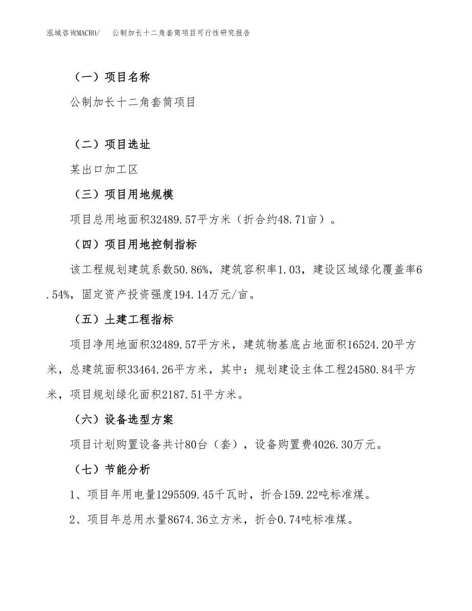 公制加长十二角套筒项目可行性研究报告（总投资13000万元）（49亩）_第5页