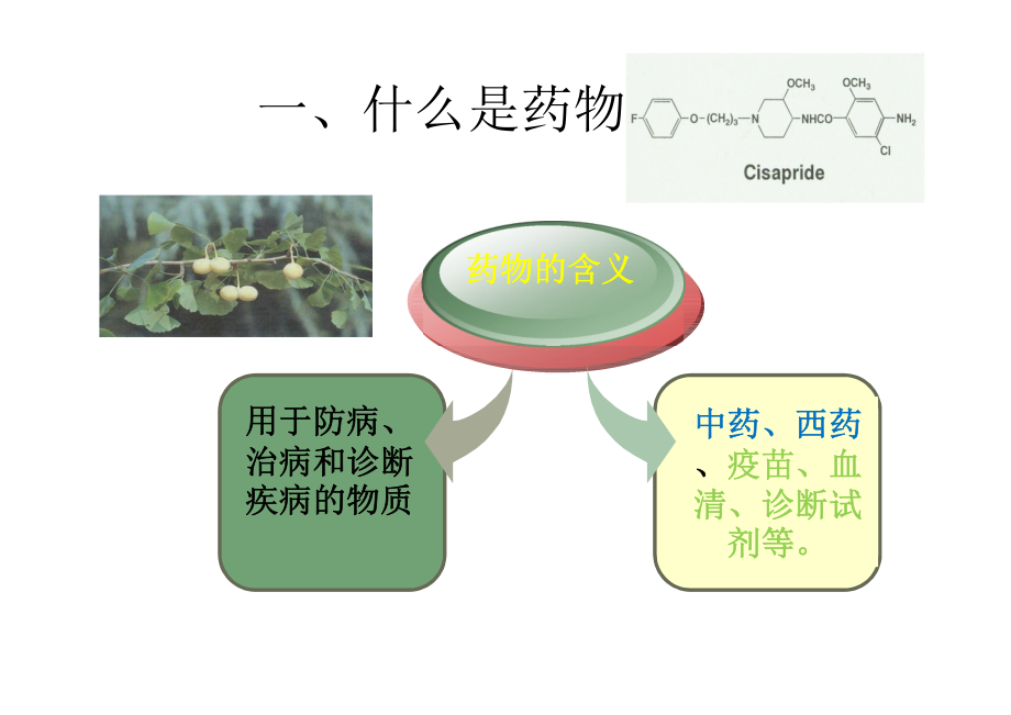 药理学总论 兼容模式]_第2页