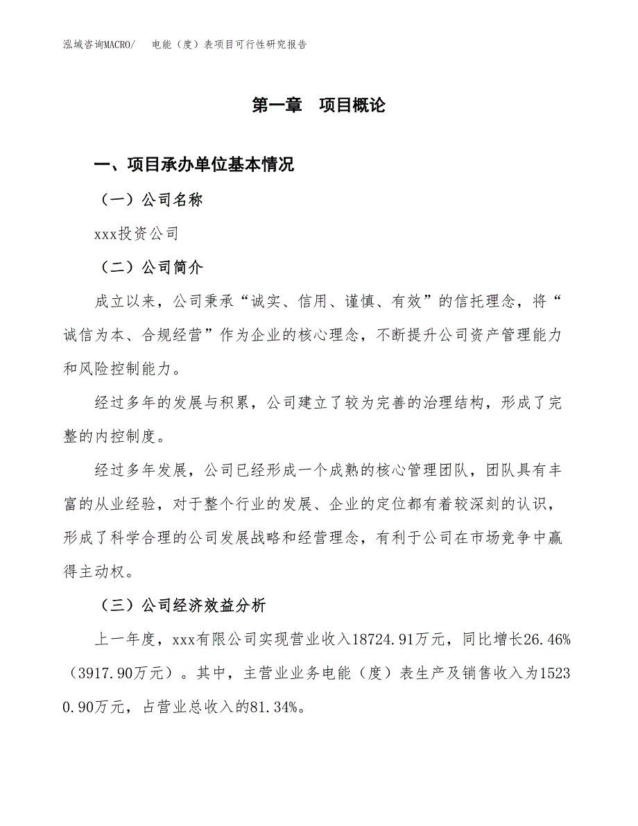 电能（度）表项目可行性研究报告（总投资12000万元）（51亩）_第3页