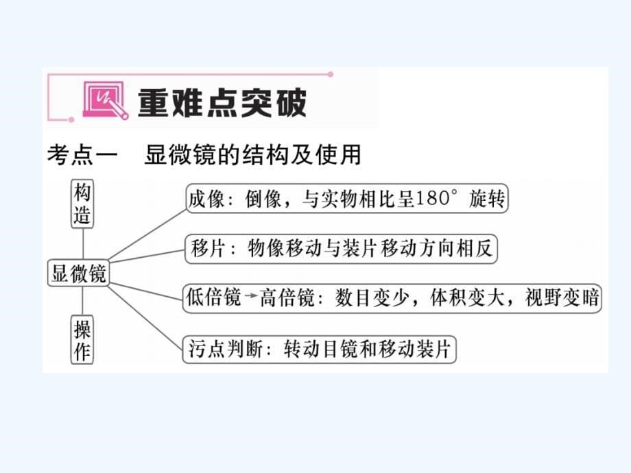 2017年秋七年级生物上册 第二单元 生物体的结构层次小结 （新版）新人教版_第5页