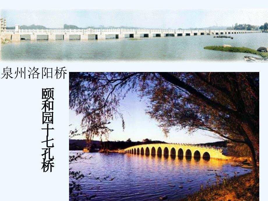 2017八年级语文上册 第五单元 17 中国石拱桥 新人教_第2页