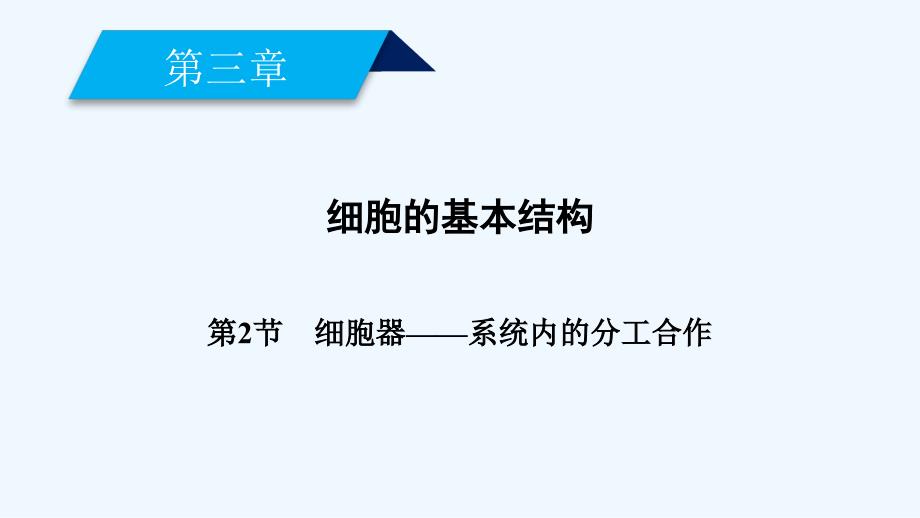 2017-2018年高中生物 第三章 细胞的基本结构 第2节 细胞器——系统内的分工合作 新人教版必修1_第2页