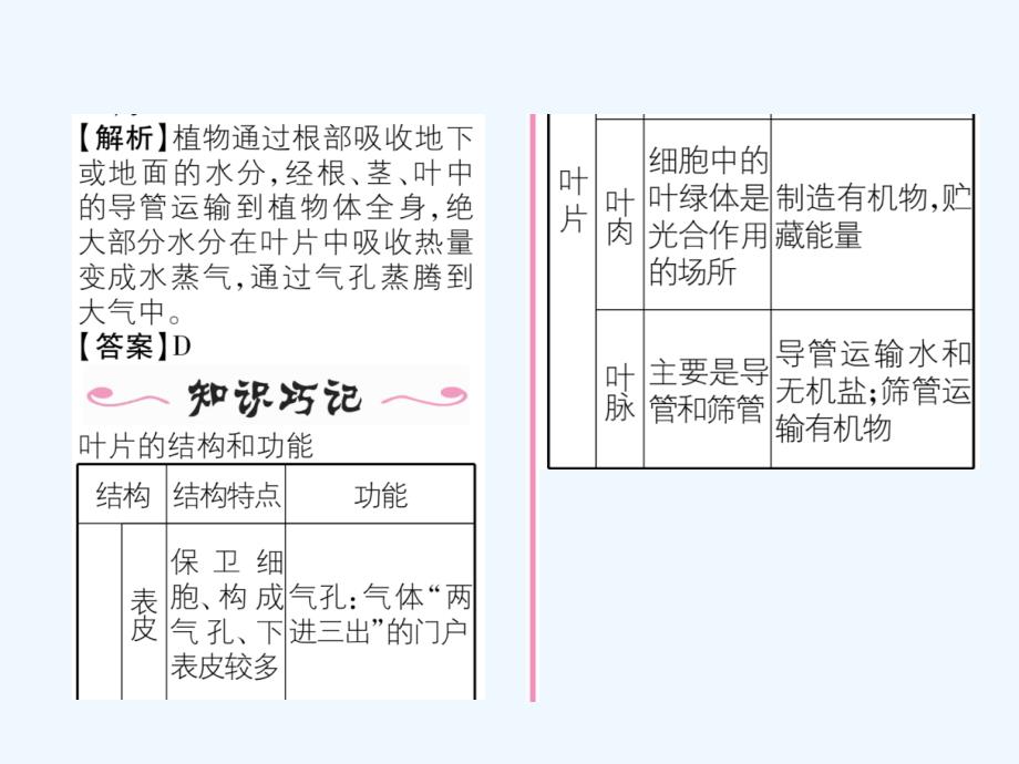 2017年秋七年级生物上册 3.3 绿色植物与生物圈的水循环（第2课时）作业 （新版）新人教版_第3页