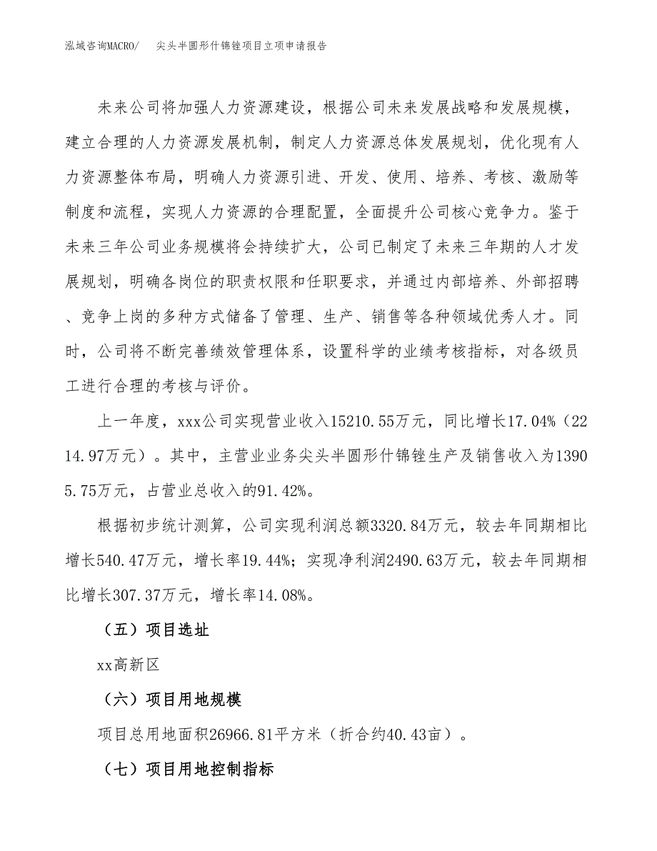 关于建设尖头半圆形什锦锉项目立项申请报告模板（总投资10000万元）_第2页