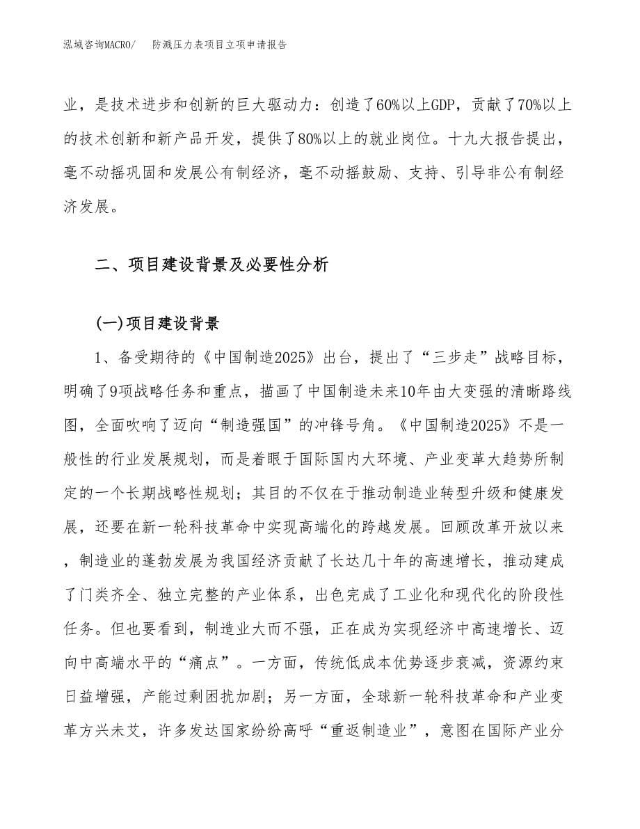 关于建设防溅压力表项目立项申请报告模板（总投资6000万元）_第5页