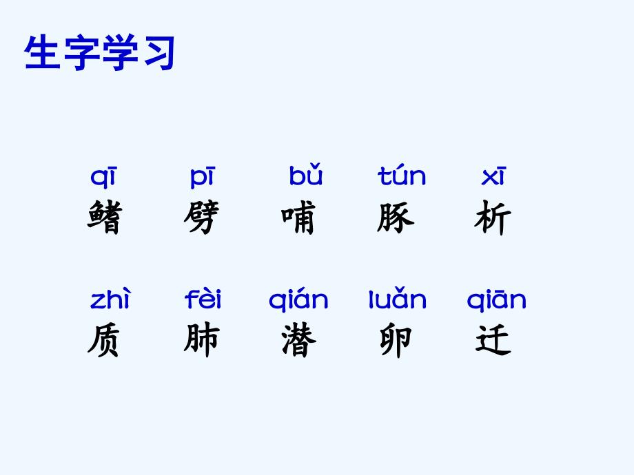 （精品教育）《白鳍豚》课件_第3页