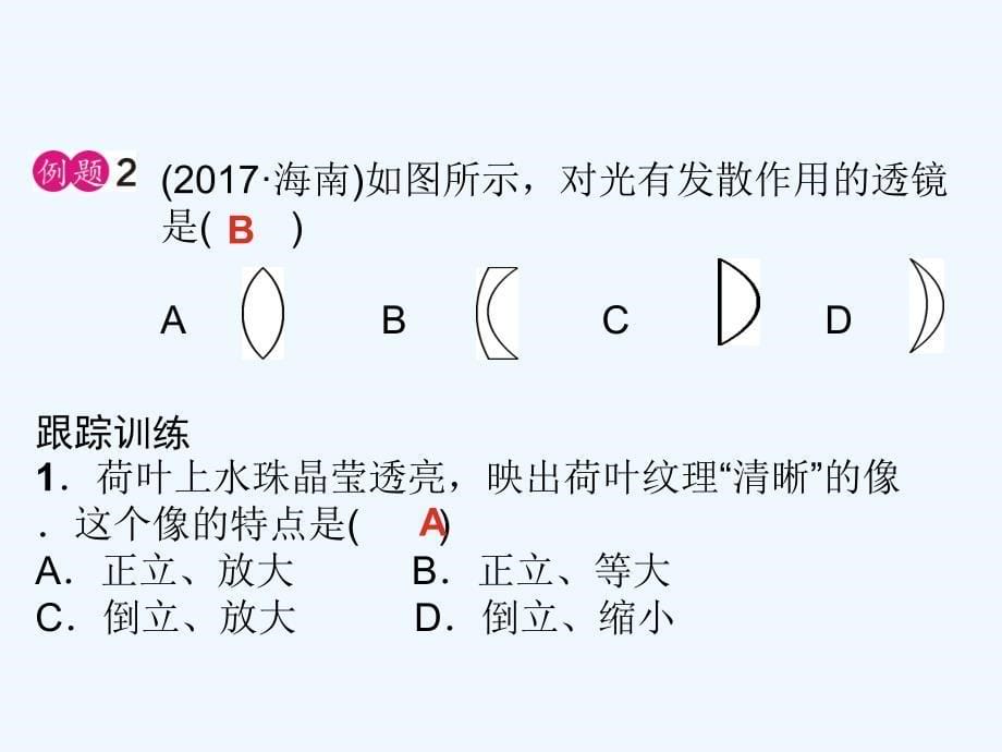 2018届中考物理总 第6课时 透镜 凸透镜成像_第5页