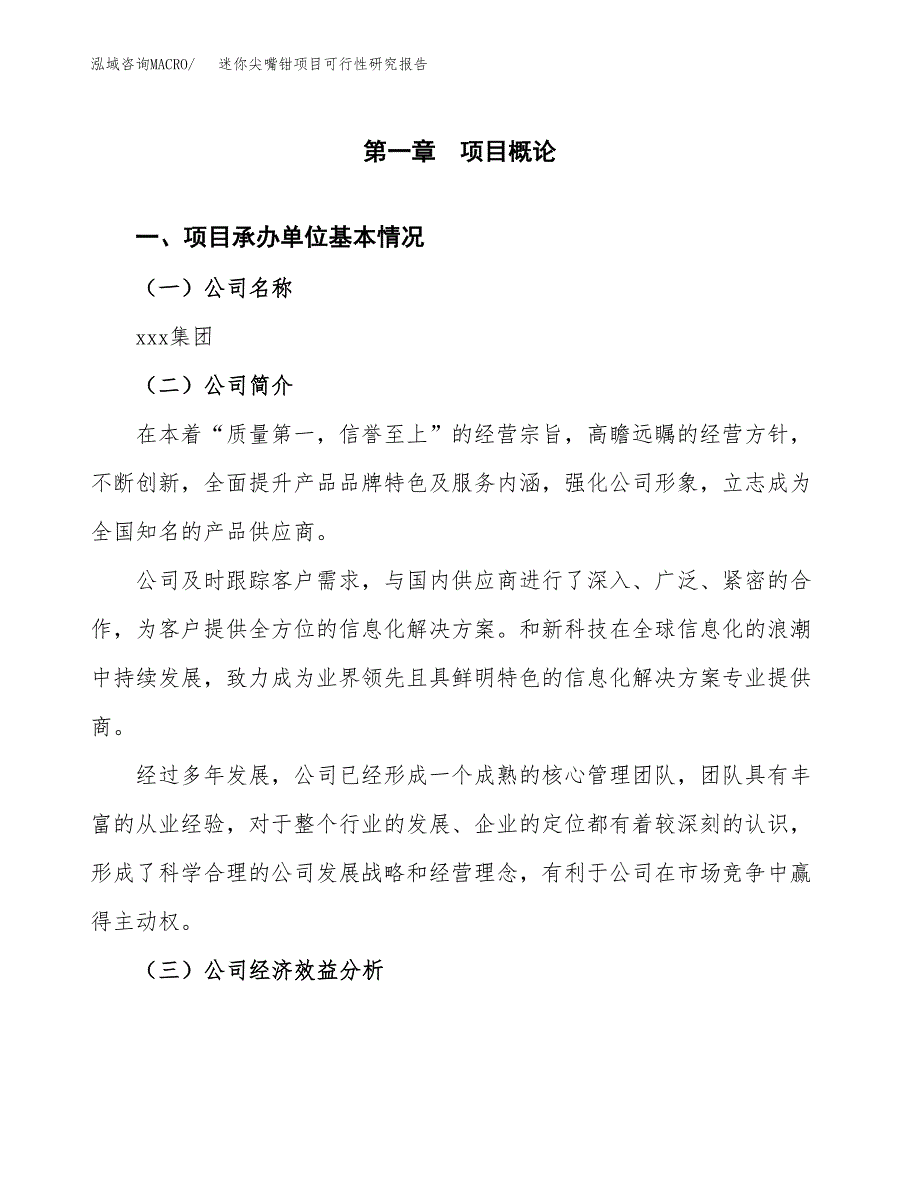 迷你尖嘴钳项目可行性研究报告（总投资7000万元）（29亩）_第3页