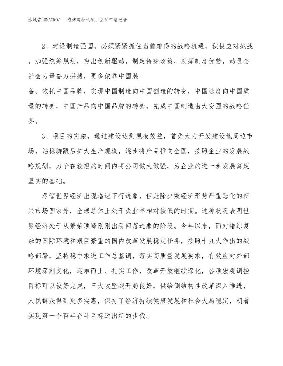 关于建设泡沫造粒机项目立项申请报告模板（总投资8000万元）_第5页