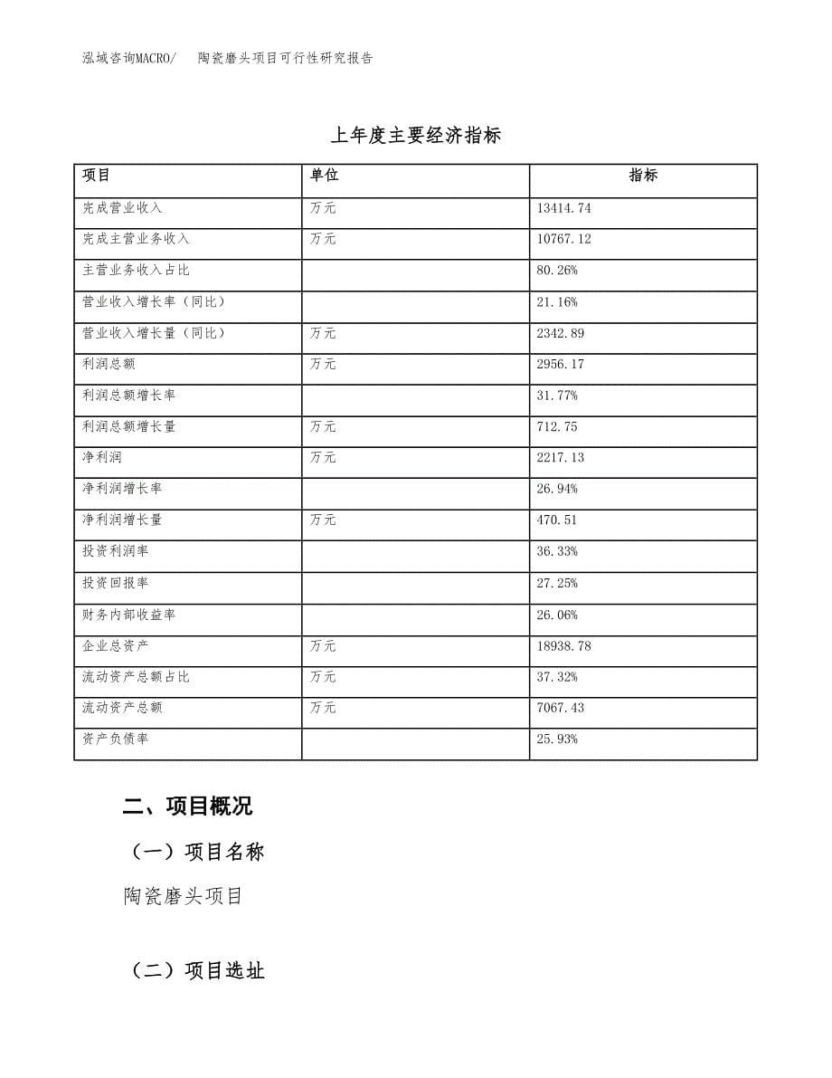 陶瓷磨头项目可行性研究报告（总投资11000万元）（49亩）_第5页