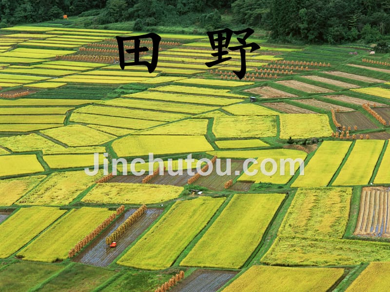 9 《祖国山水多美丽》_第2页