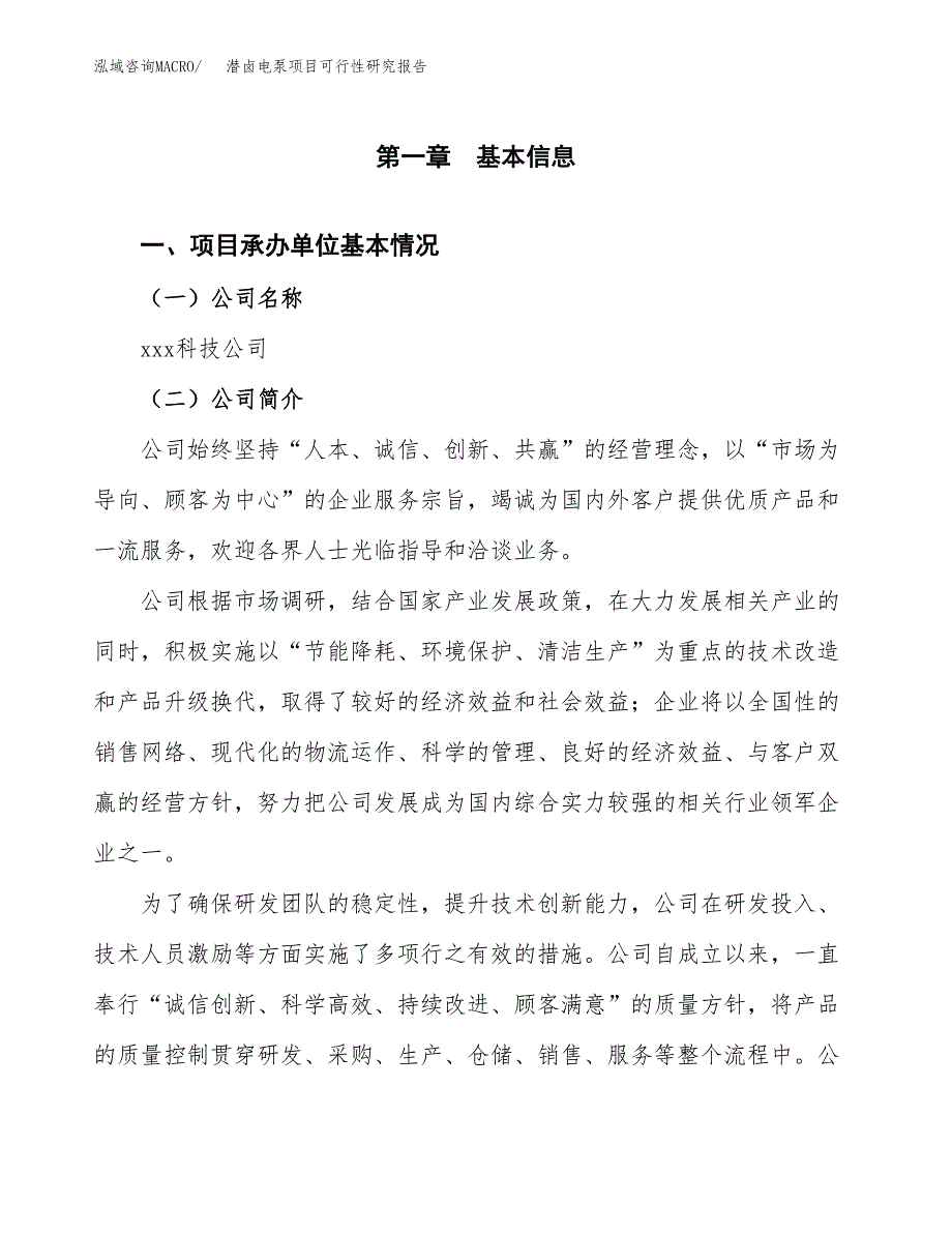 潜卤电泵项目可行性研究报告（总投资10000万元）（52亩）_第3页