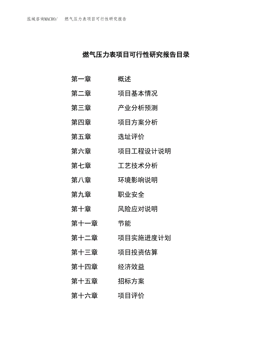 燃气压力表项目可行性研究报告（总投资10000万元）（44亩）_第2页