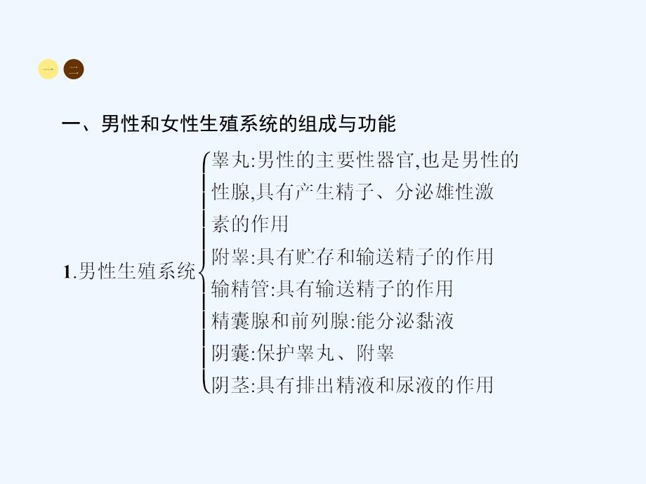 中考生物 第四单元 生物圈中的人 第一章整合 新人教版_第3页