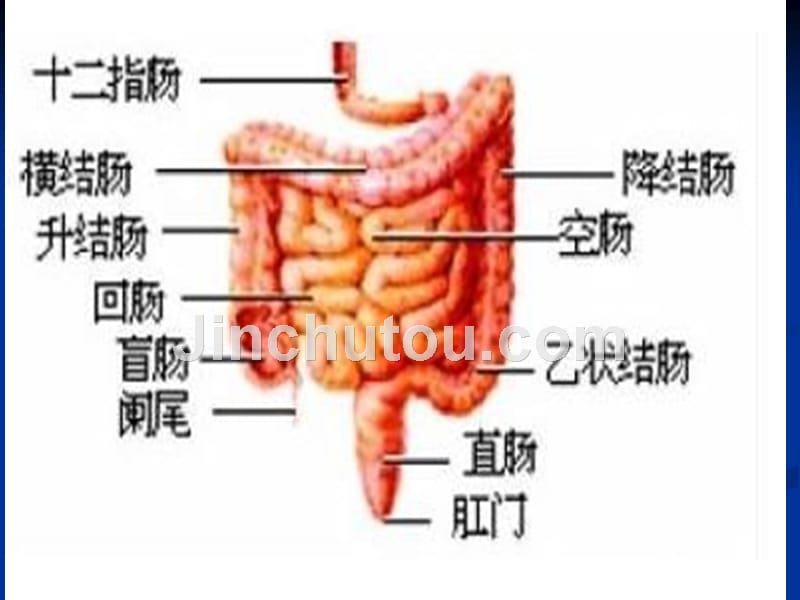 直肠癌护理 (1)_第3页