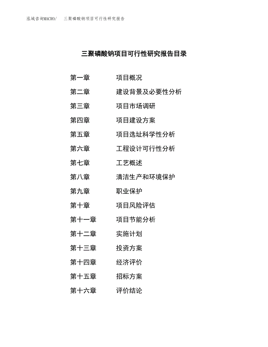 三聚磷酸钠项目可行性研究报告（总投资14000万元）（70亩）_第2页