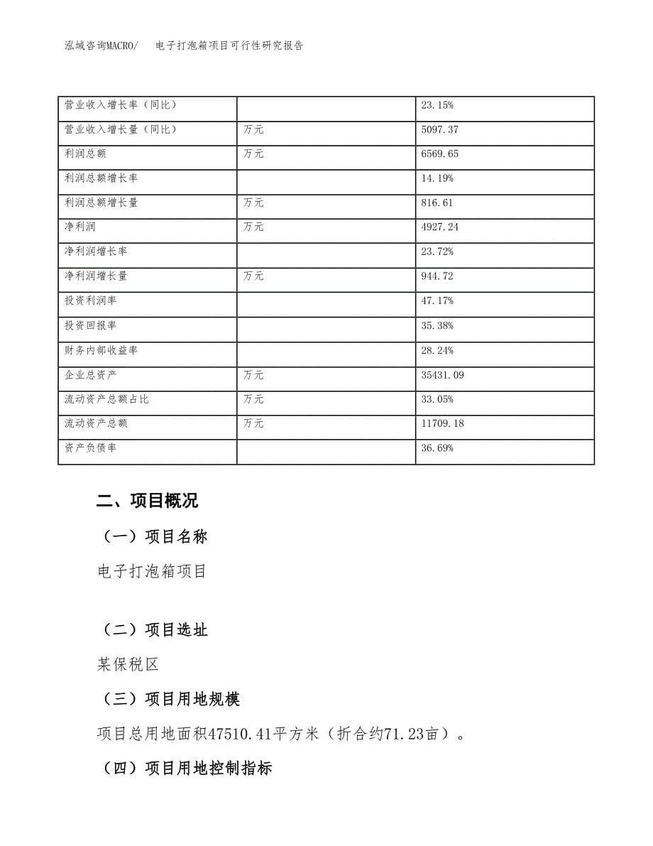 电子打泡箱项目可行性研究报告（总投资15000万元）（71亩）_第5页