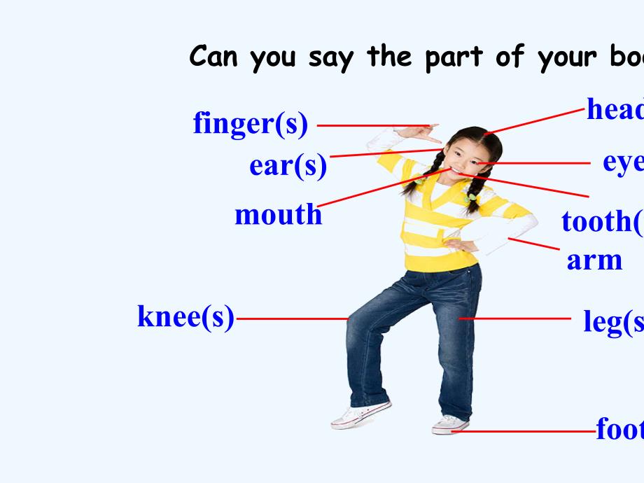 2018春七年级英语下册 module 11 body language unit 2 here are some ways to welcome them教学 （新版）外研版_第4页