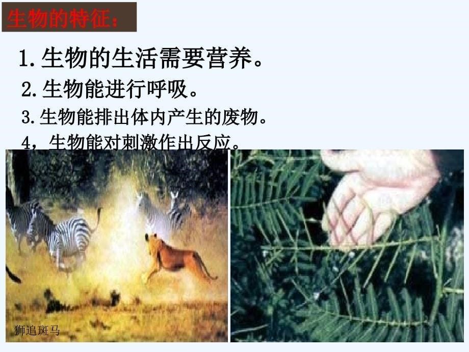 《生物特征》_第5页