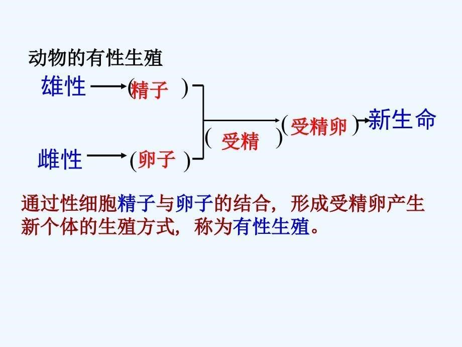 七年级科学下册6.1动物的生殖与发育2（新）华东师大_第5页