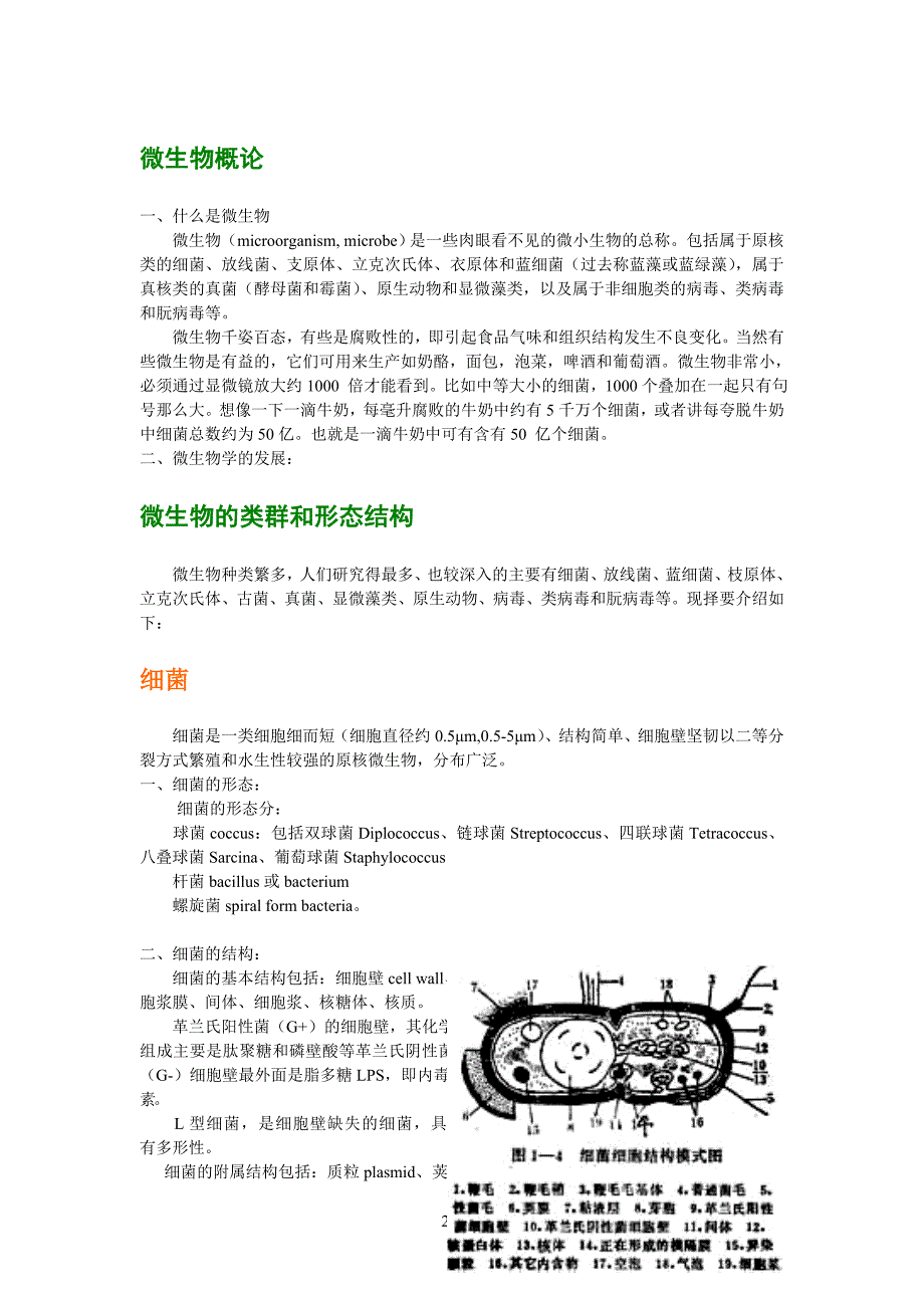 微生物入门基础_第2页