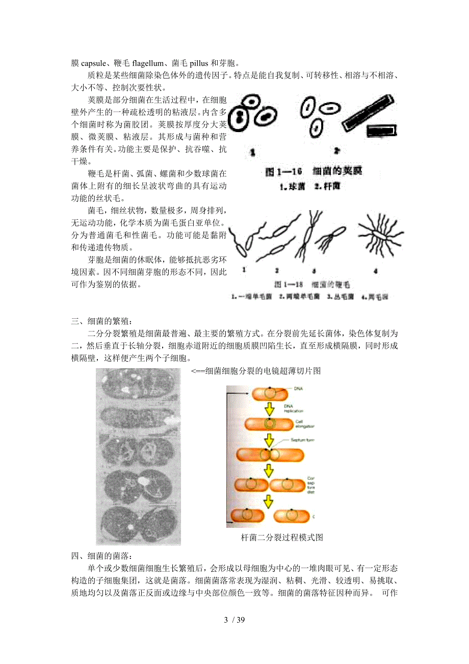 微生物入门基础_第3页