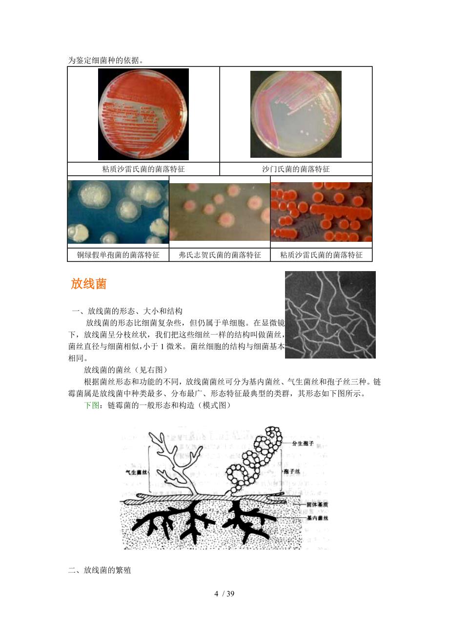 微生物入门基础_第4页