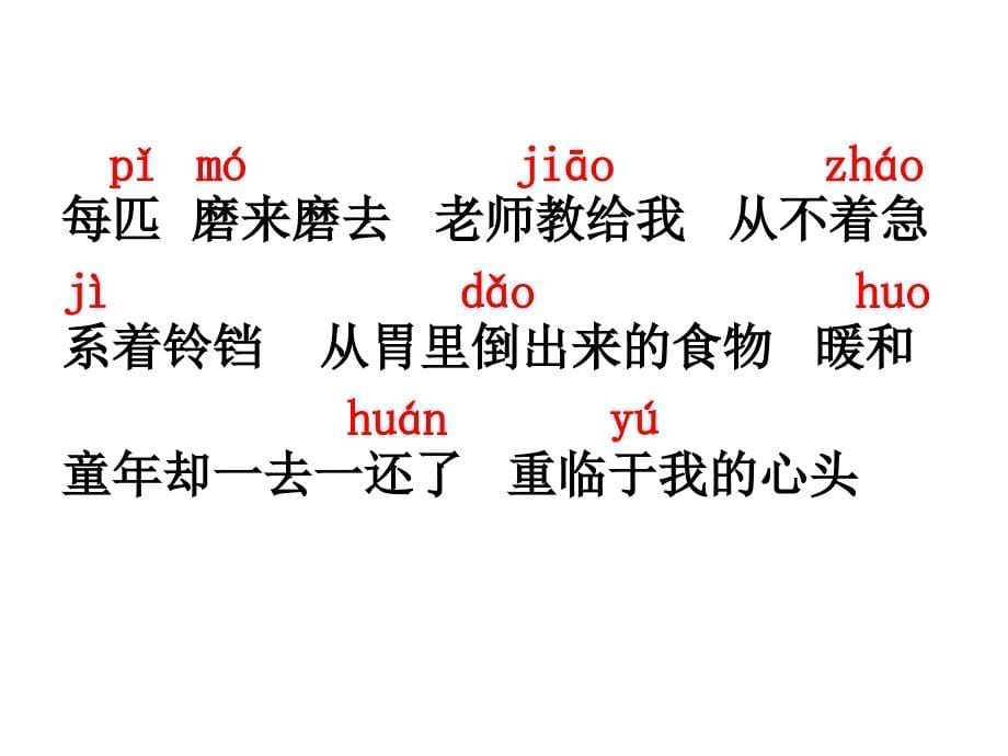 6《冬阳童年骆驼队》课件_第5页