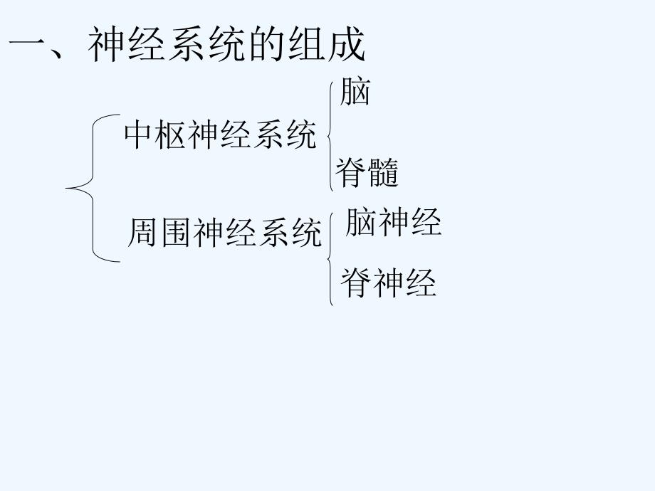 七年级生物下册第6章人体生命活动的调节复习（新）新人教_第3页