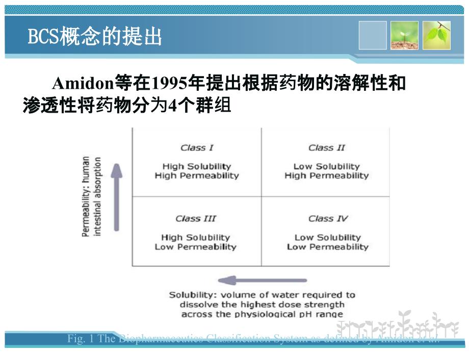 生物药剂学分类系统方案_第3页