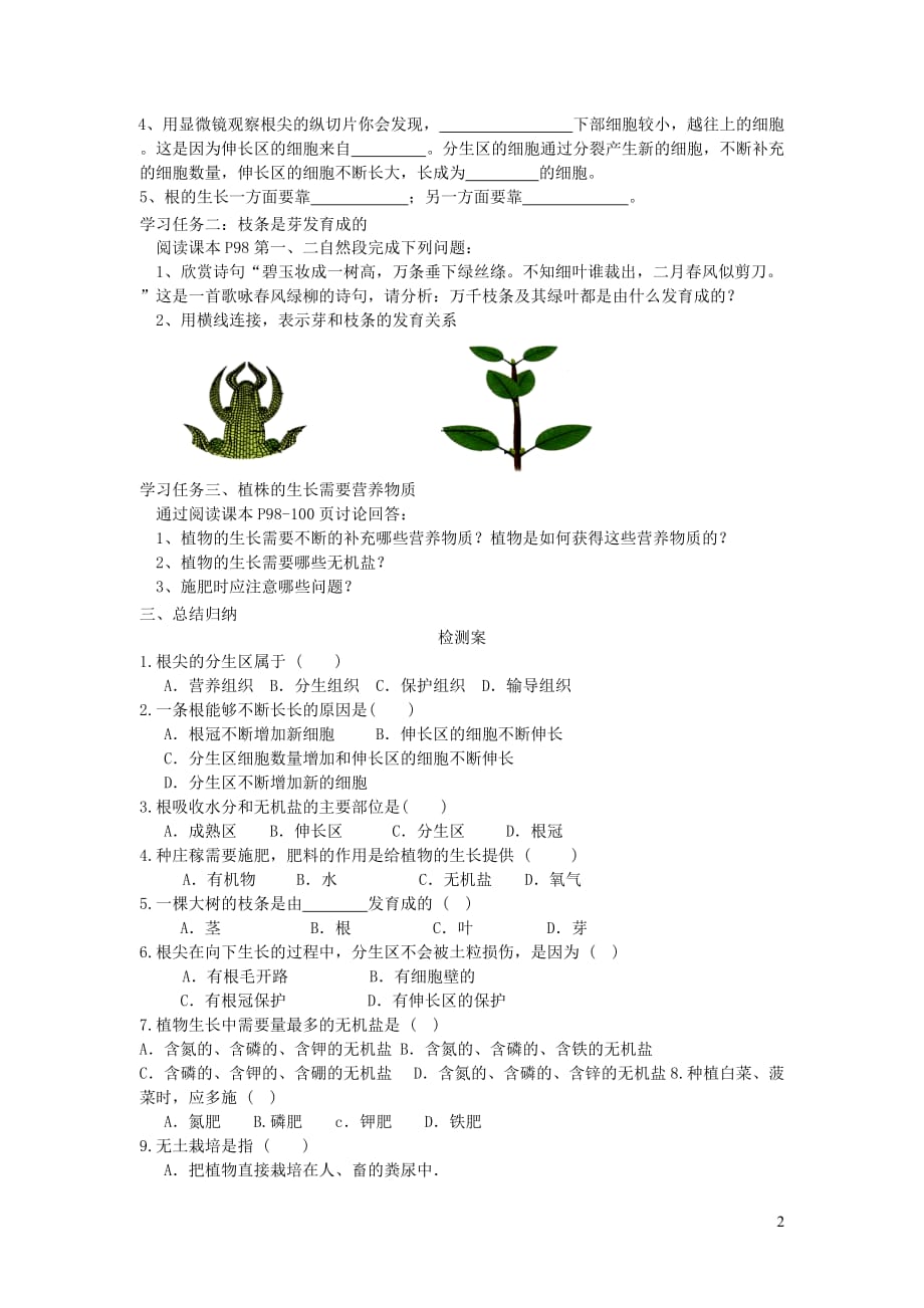 2019秋七年级生物上册第三单元第二章第二节植株的生长学案（无答案）（新版）新人教版_第2页