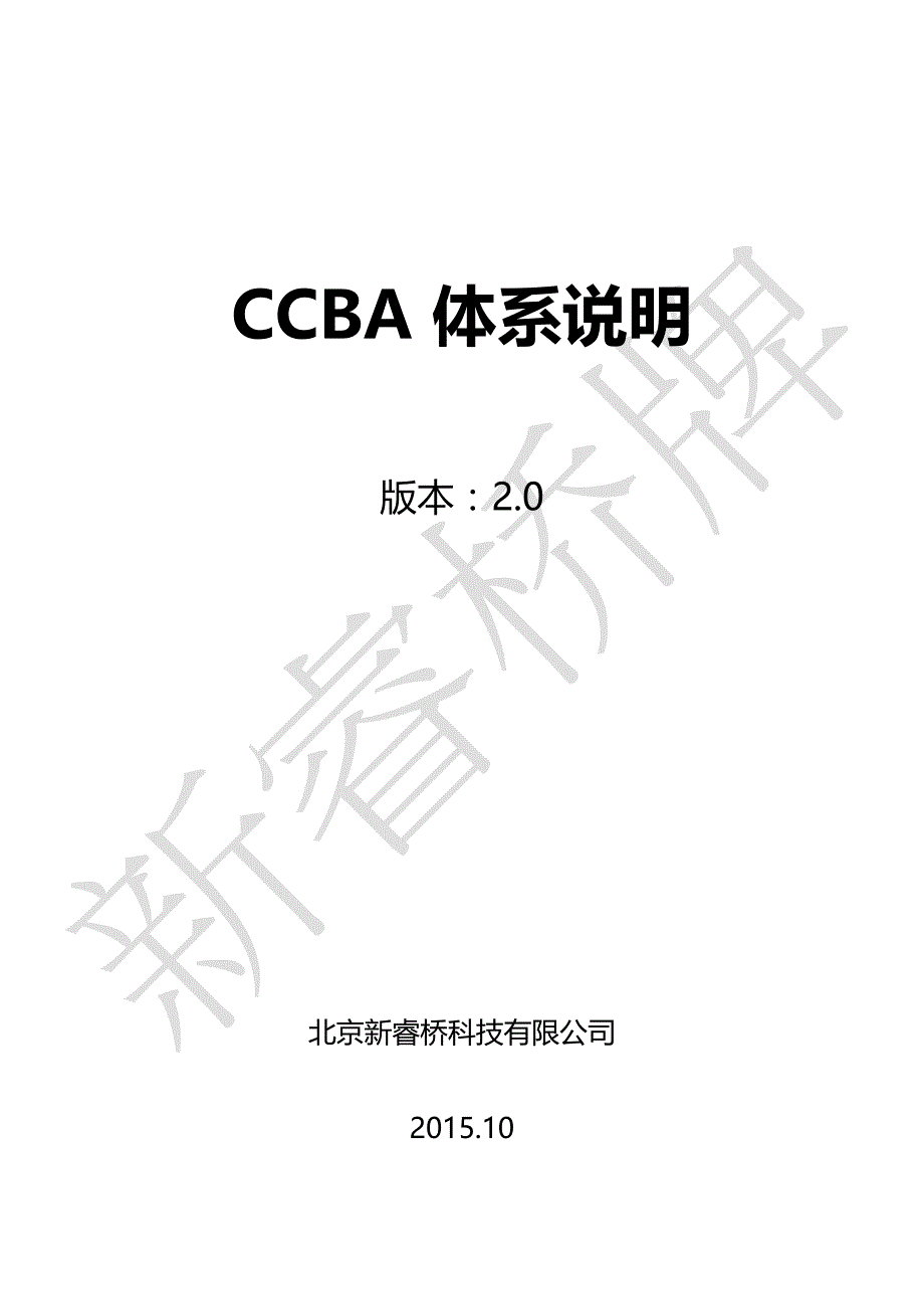 新睿CCBA2.0体系说明 v1 .0_第1页