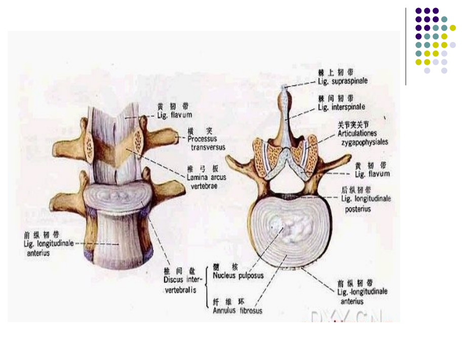 颈椎病围手术期的的护理_第4页