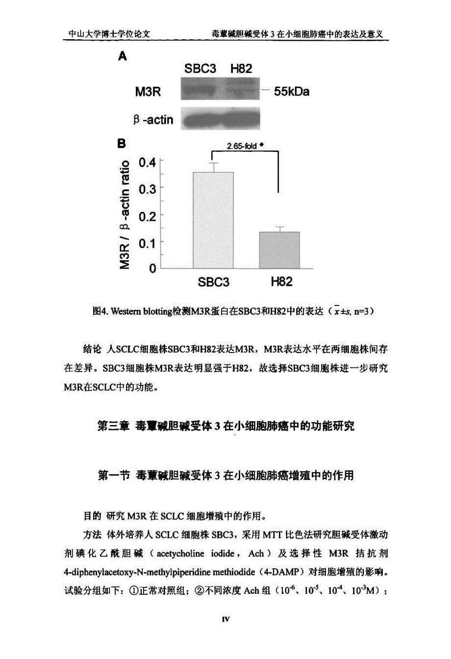 毒蕈碱胆碱受体3在小细胞肺癌中的表达及意义_第5页