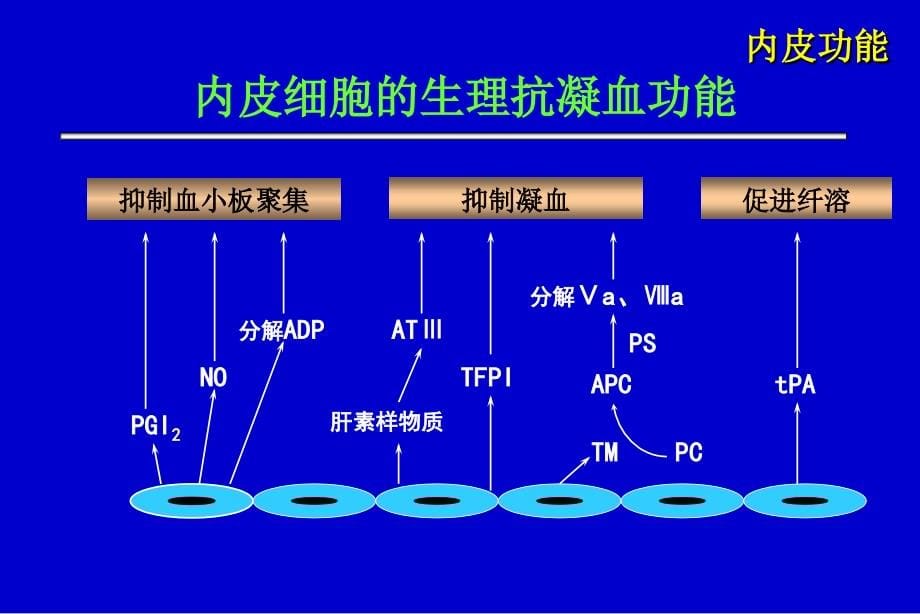 曲巍_血液透析的抗凝治疗_第5页