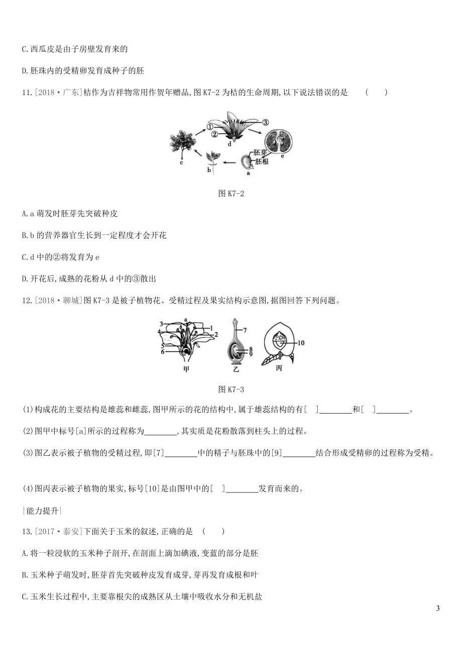 2019年中考生物专题复习三 生物圈中的绿色植物 课时训练07 被子植物的一生 新人教版_第3页