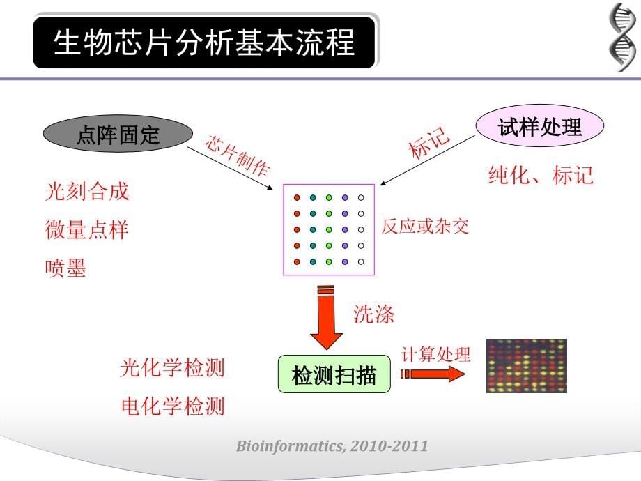 生物芯片分析报告_第5页