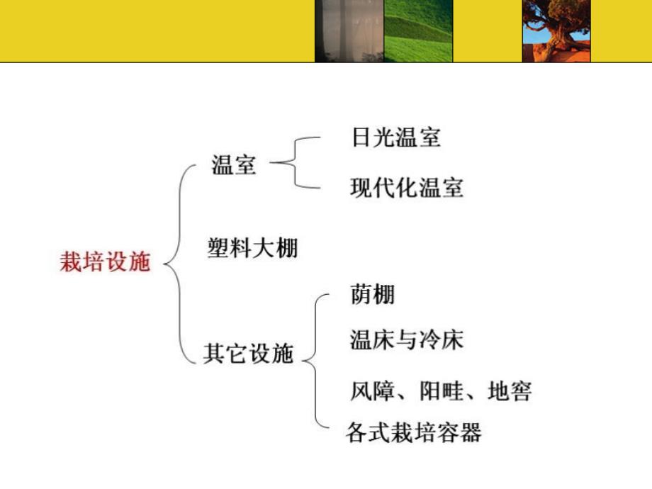 第4章园林花卉栽培设施及 设备_第4页