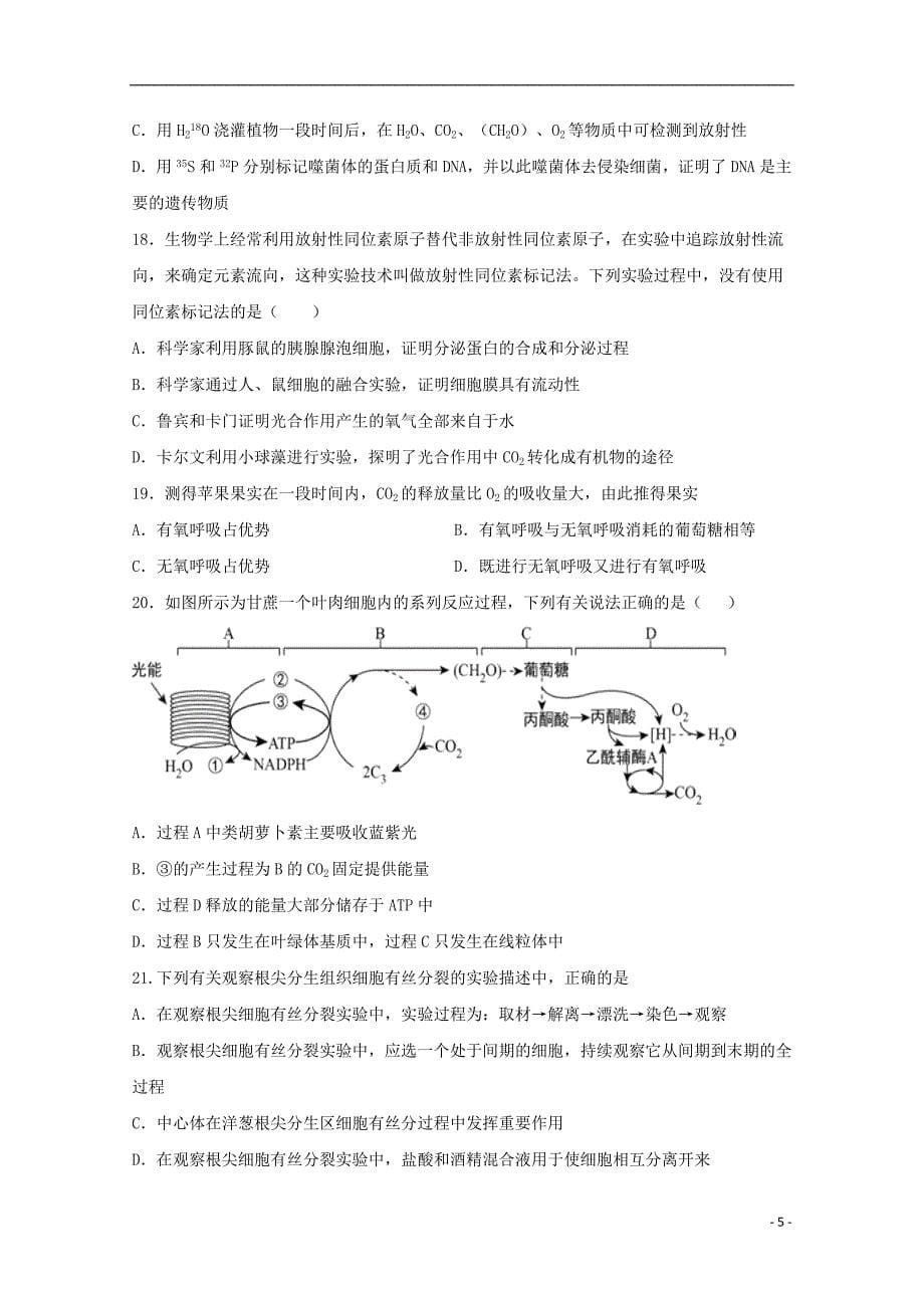 河北省大名县第一中学2020届高三生物9月月考试题清北班二201910210335_第5页