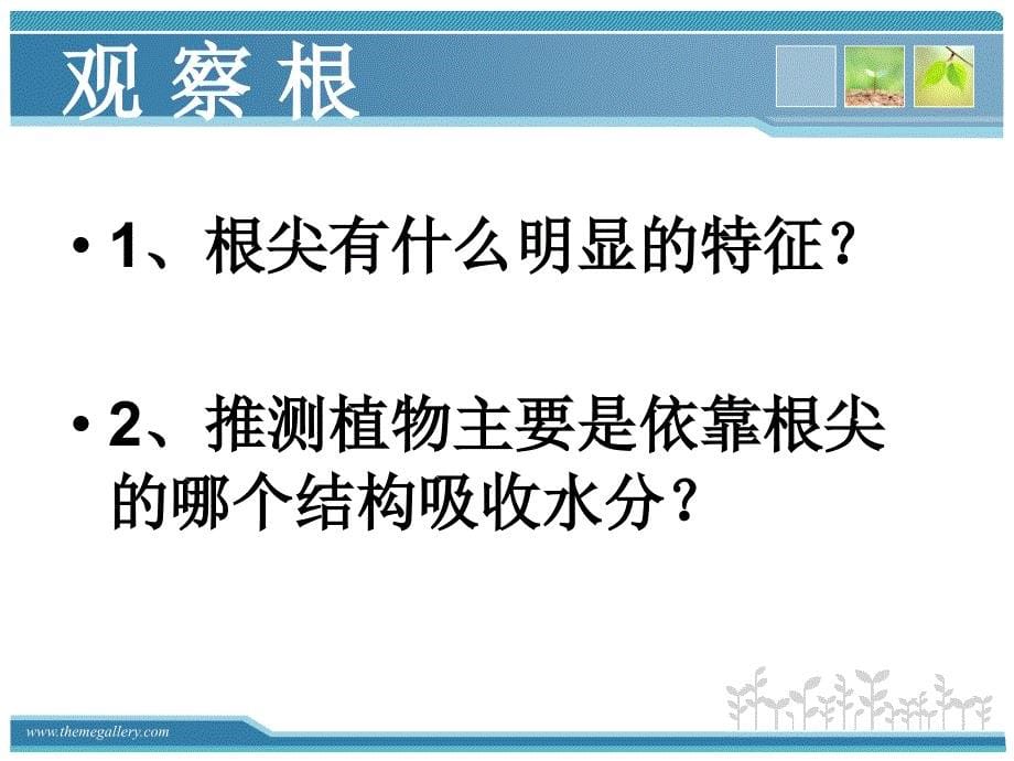 植物对水分的吸收和 运输_第5页