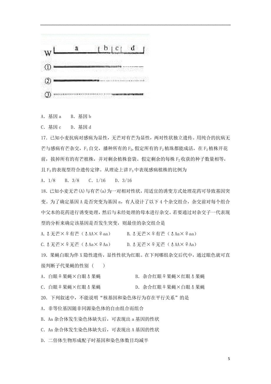 甘肃省甘谷第一中学2018_2019学年高二生物下学期期末考试试题201907230219_第5页