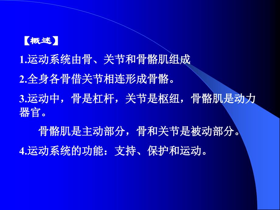 安徽医科大学系统解剖学运动解剖学(绪论骨学)._第3页