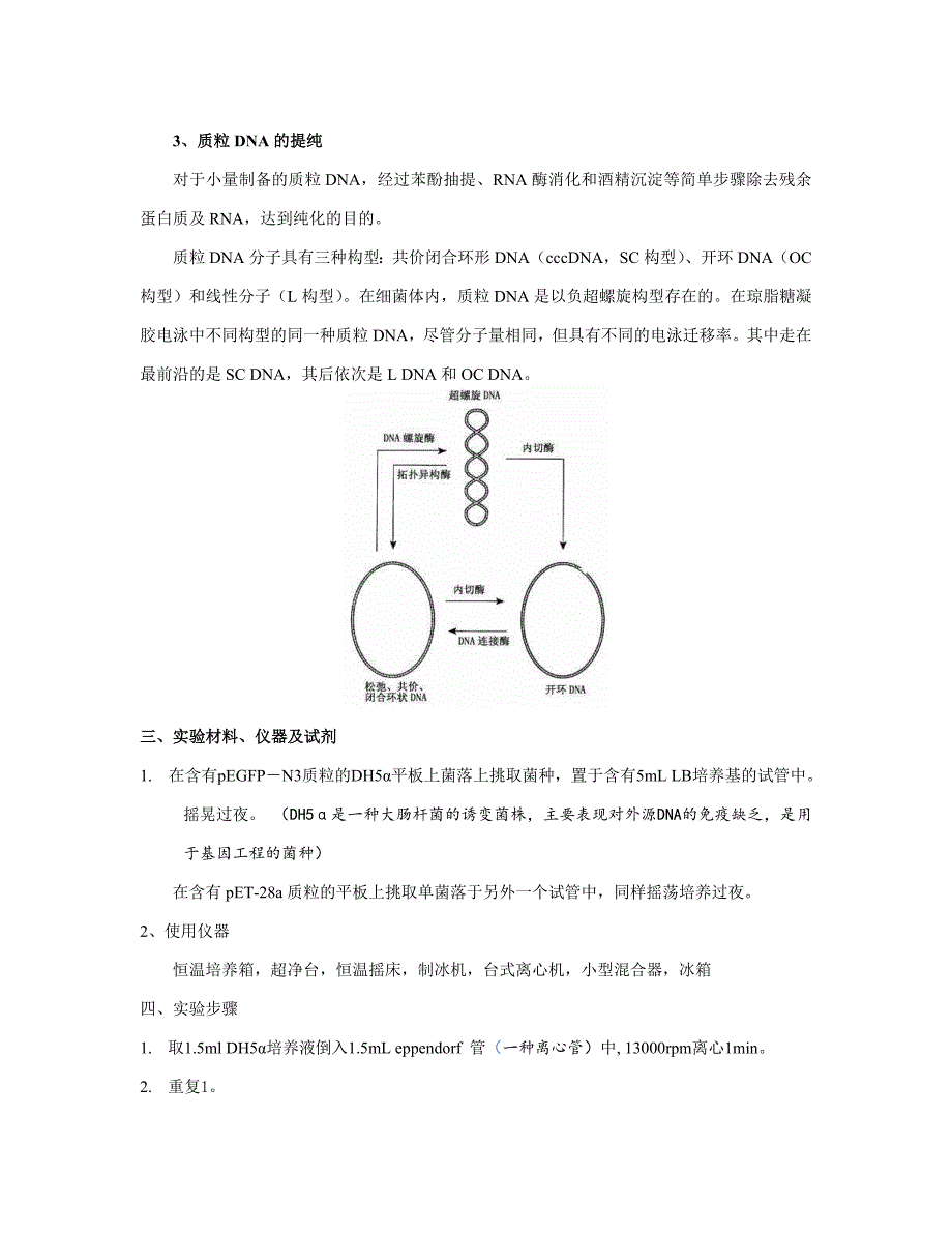 绿色荧光蛋白(GFP)基因的克隆和表达(新手详细注释版)._第3页