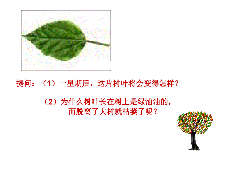 《个人成长离不开集体》_第2页