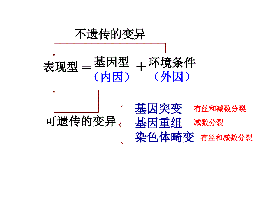 高三生物一轮复习《生物的变异与育种》._第2页