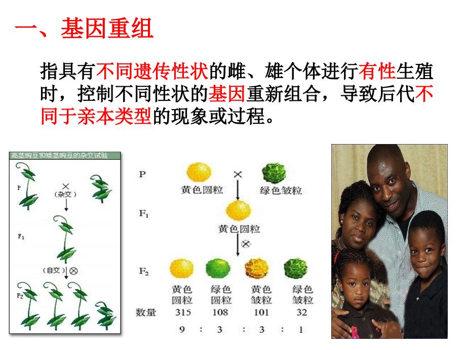 高三生物一轮复习《生物的变异与育种》._第4页